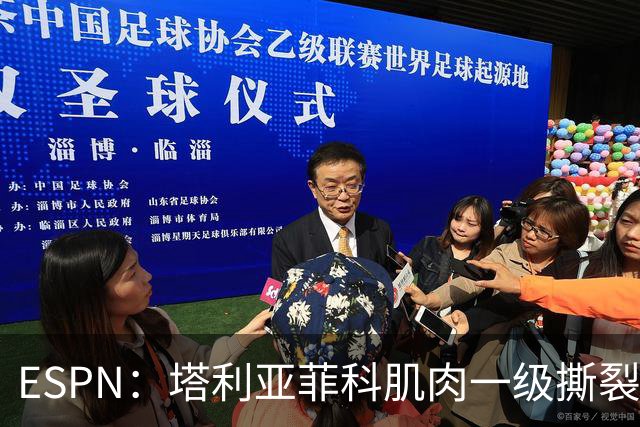 ESPN：塔利亚菲科肌肉一级撕裂，至少缺席世界杯前两场小组赛