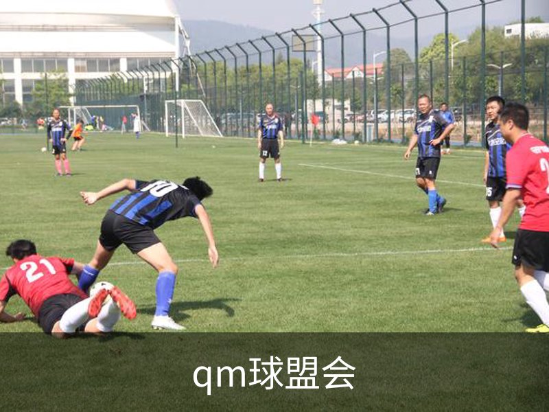 走进qm球盟会